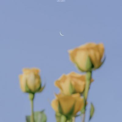 江南体育官网入口