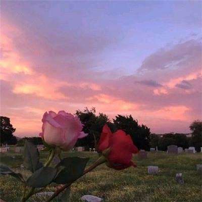 1号彩票官网截图