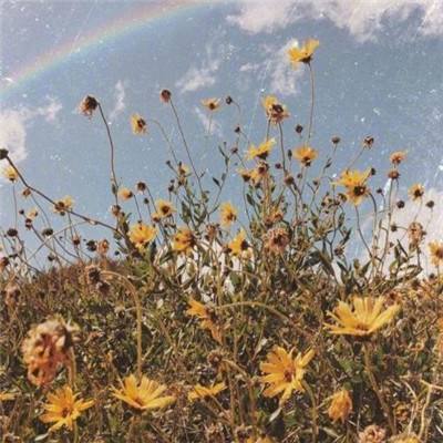 米乐m6登录米乐平台