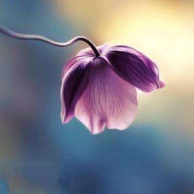 押注篮球的appapp下载