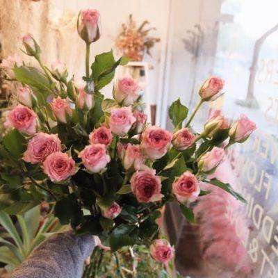 hth·华体育官方入口截图