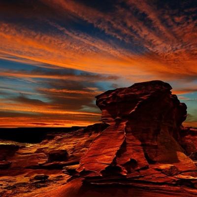 三张牌下载金花免费下载手机版