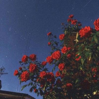 hth·华体育官方入口截图