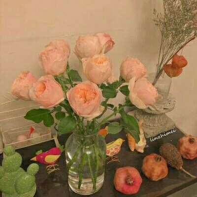 牛牛游戏网手机app下载