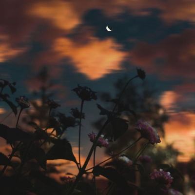 押注篮球的appapp下载