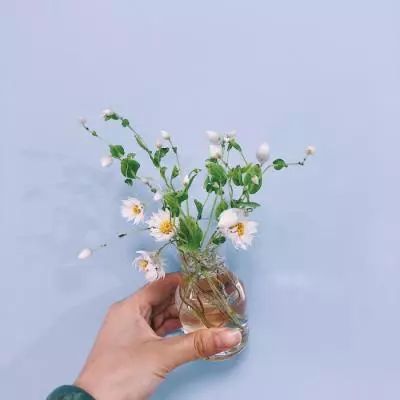 leyu·乐鱼(中国)体育手机app下载