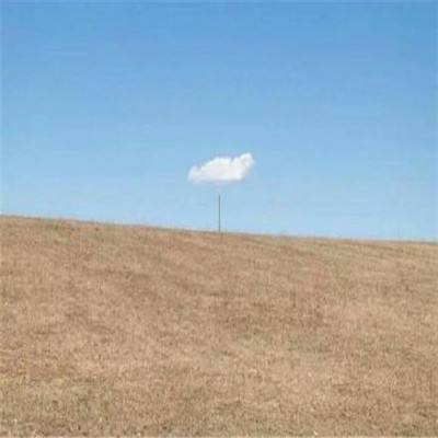 金年会app官方网址