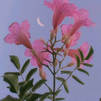 pg电子娱乐官网游戏