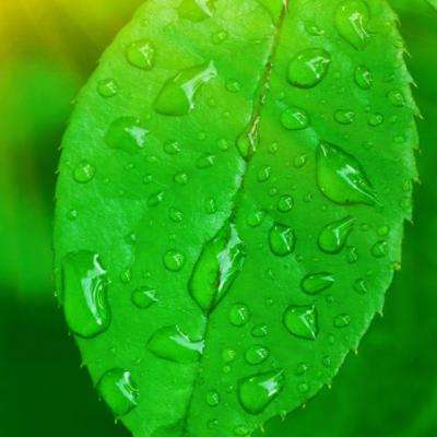 Welcome彩票中心注册大厅进入app下载